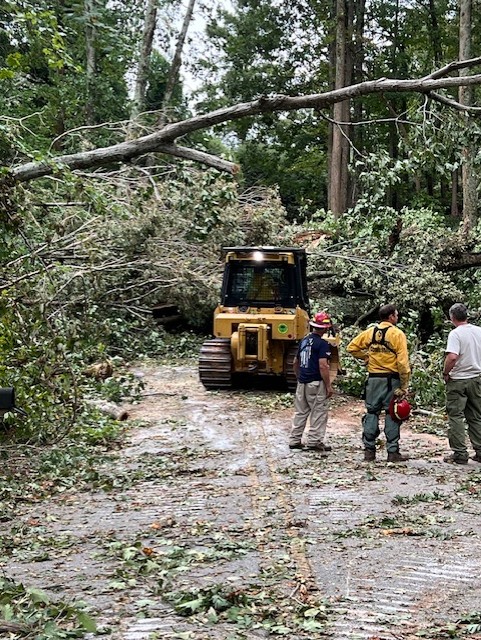 Workers assess a tree fallen across a forest road. A yellow bulldozer is positioned in the background, preparing to clear debris. Dense foliage surrounds the area, and three workers in safety gear stand in conversation.
